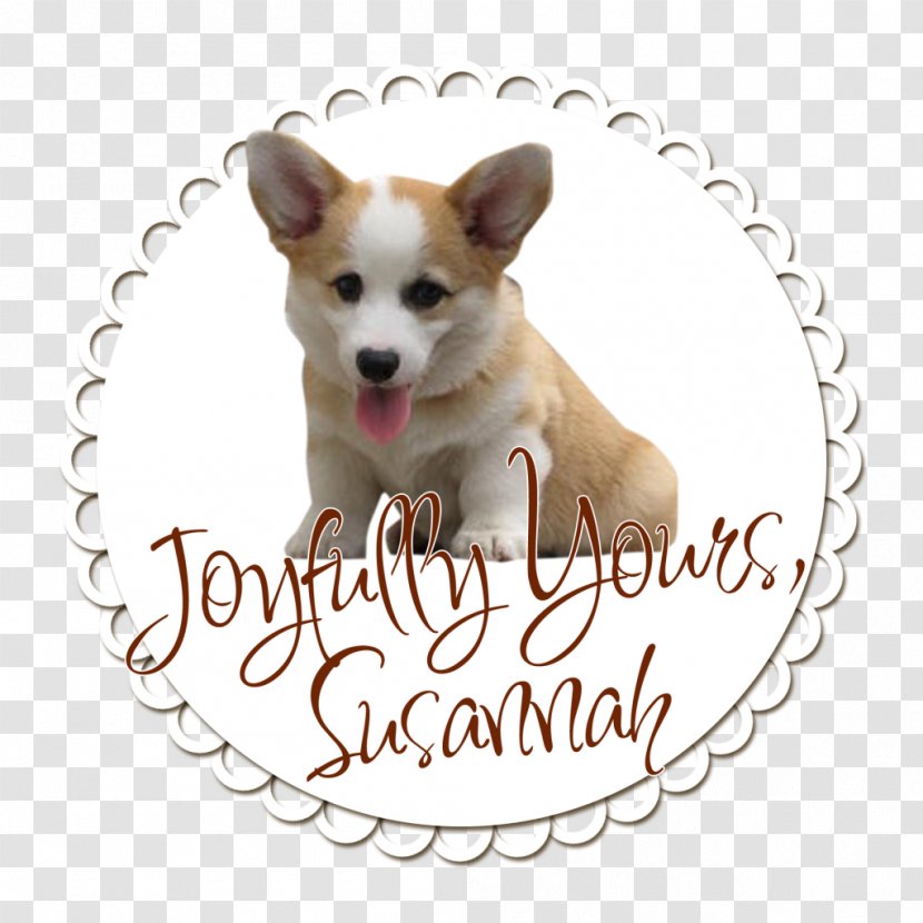 Dog Breed Puppy Tutorial Companion - Corgi Transparent PNG