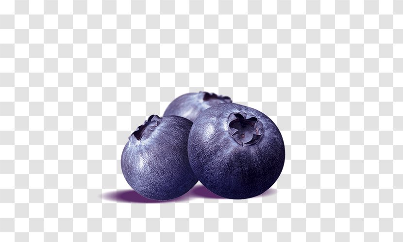 Health Food Blueberry Fat Superfood - Fruit - Blueberries Transparent PNG