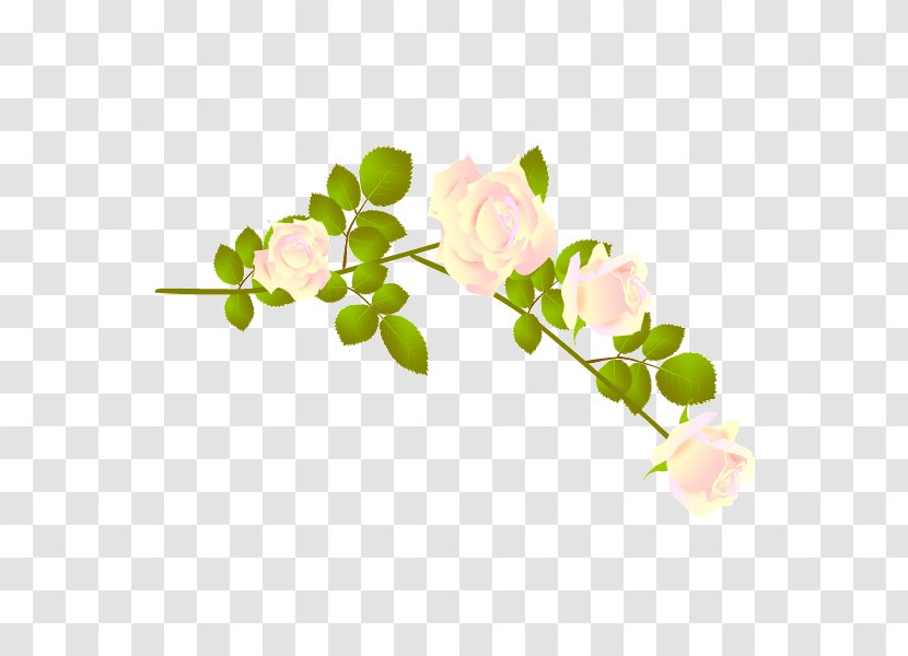 Flower Petal - Rose Family - Green Flowers Transparent PNG
