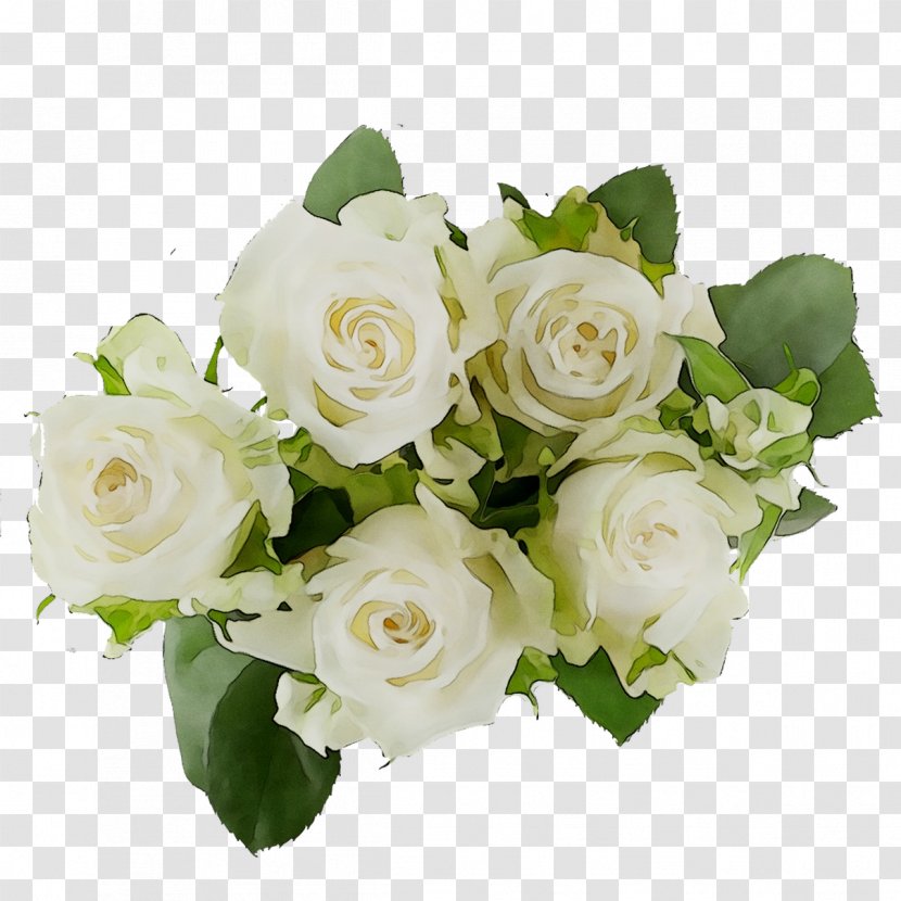 Garden Roses Cabbage Rose Floribunda Floral Design Cut Flowers - Hybrid Tea - White Transparent PNG