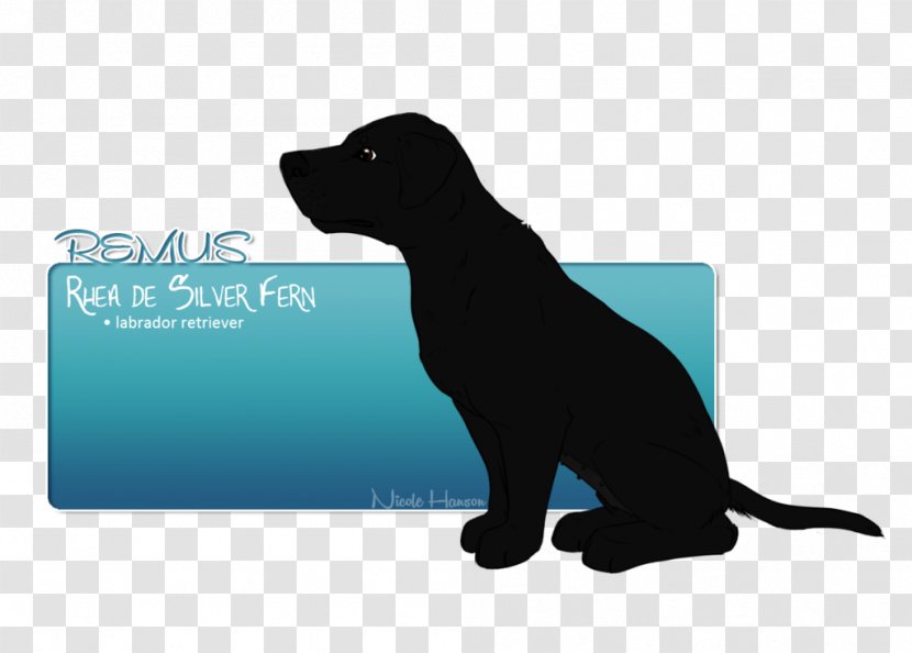 Labrador Retriever Puppy Cat Dog Breed - Like Mammal Transparent PNG