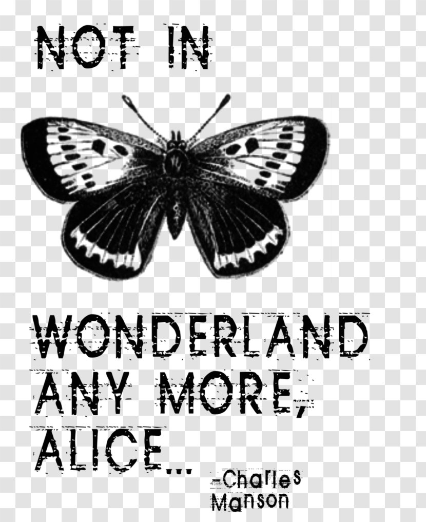 Brush-footed Butterflies We're Not In Wonderland Anymore Alice. IPad Air Alice Alice's Adventures - Brand - Clip Art Transparent PNG