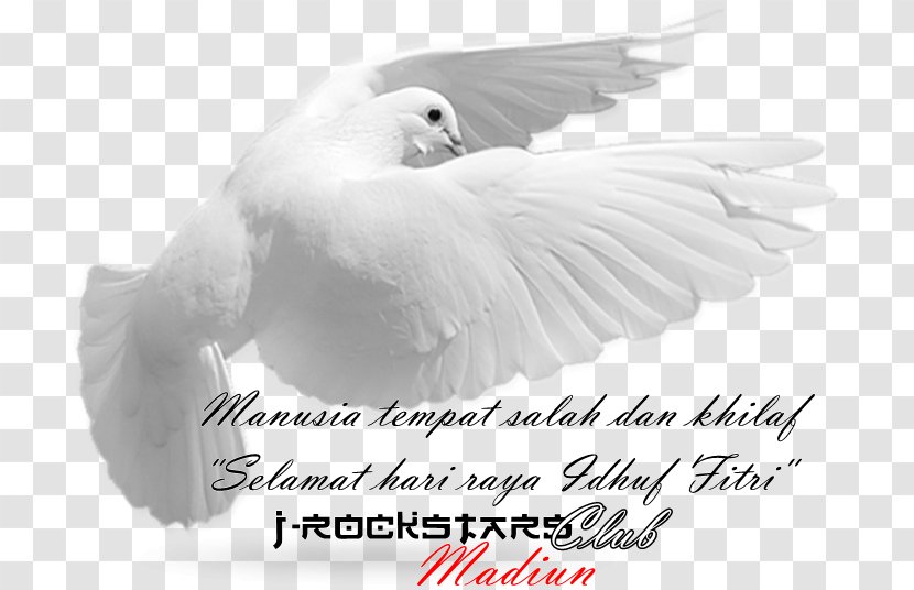 Rockstars Club I Madiun Goose Beak Cygnini - Ducks Geese And Swans - Minal 'aidin Walfaizin Transparent PNG