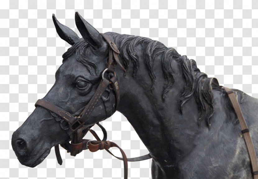 Horse Stallion Sculpture Statue Portrait Transparent PNG