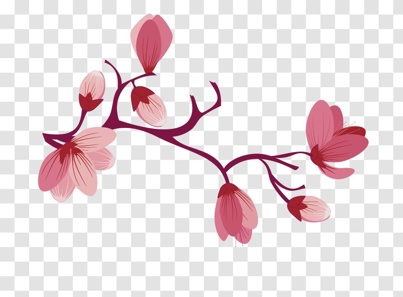 Cherry Blossom Image Flower Rose Transparent PNG