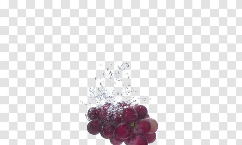 Red Wine Merlot Champagne Cabernet Sauvignon - Petal - Clean Grapes Transparent PNG