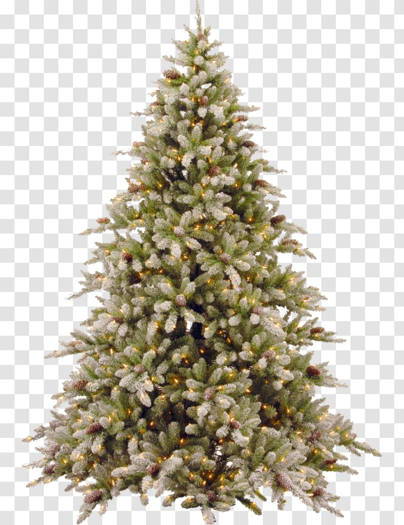 Christmas Tree Clip Art - Conifer - Cones Transparent PNG