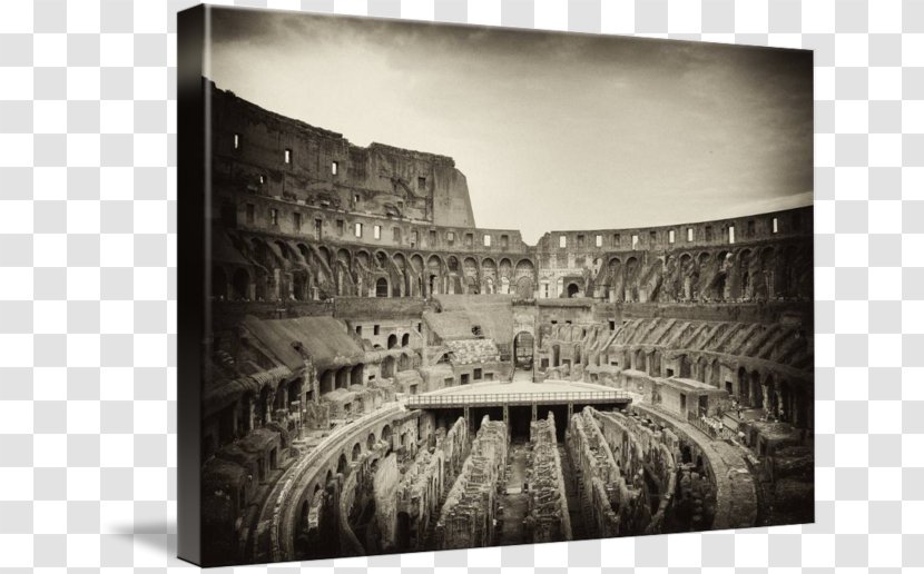 Colosseum White - History Transparent PNG
