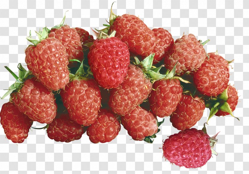 Raspberry Download - West Indian - Freshly Picked Raspberries Material Transparent PNG