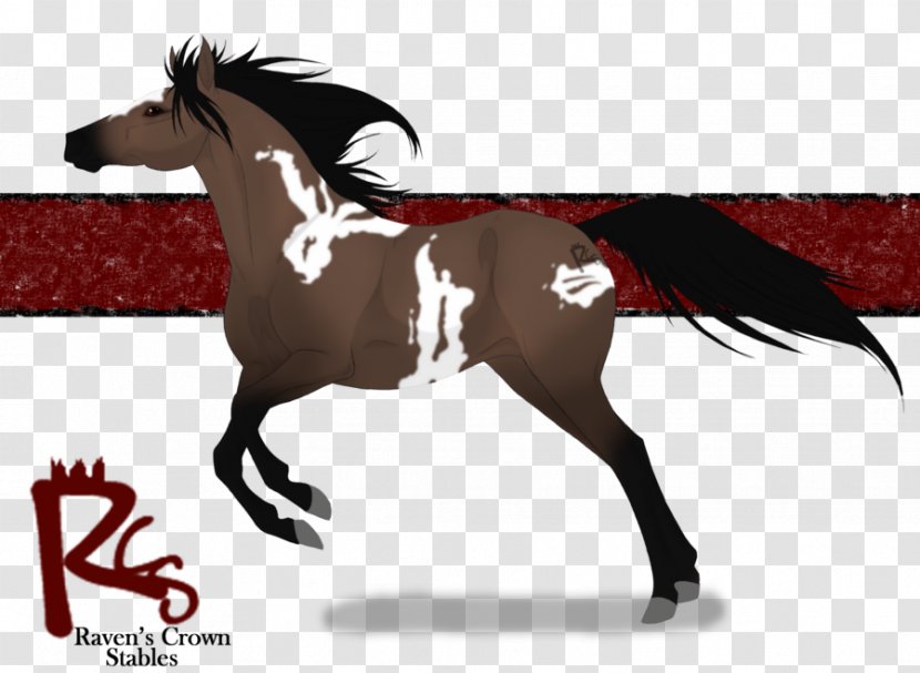 Mustang Stallion Mare Rein Pack Animal - Bridle Transparent PNG