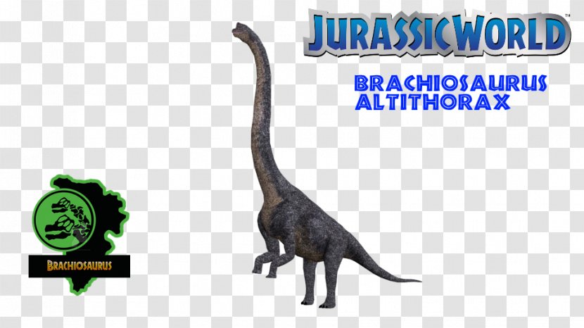 Velociraptor Mosasaurus Pachycephalosaurus Tyrannosaurus Dimorphodon - Fauna - Organism Transparent PNG