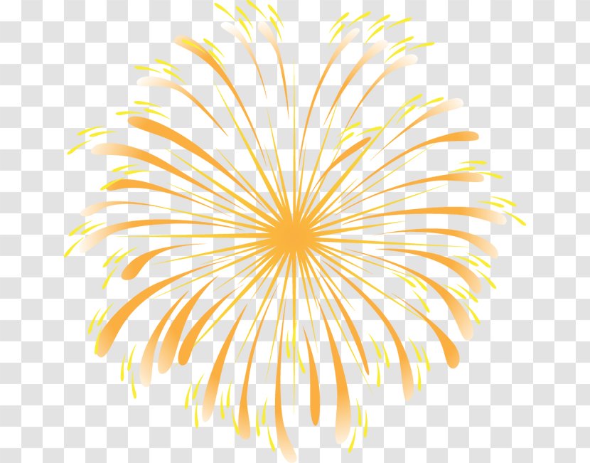 Light Fireworks - Flower - Cool Transparent PNG
