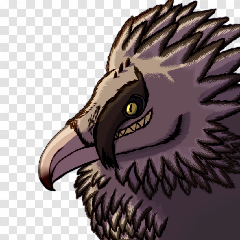 Bird Of Prey Bald Eagle Owl Vertebrate - Fauna - Bearded Dragon Transparent PNG