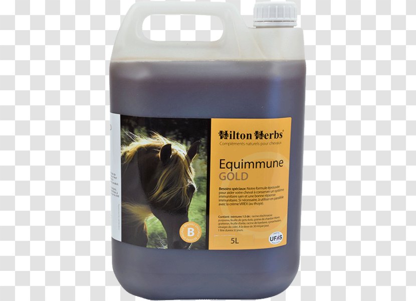 Horse Liter HILTON HERBS LTD Snout - Liquid Transparent PNG