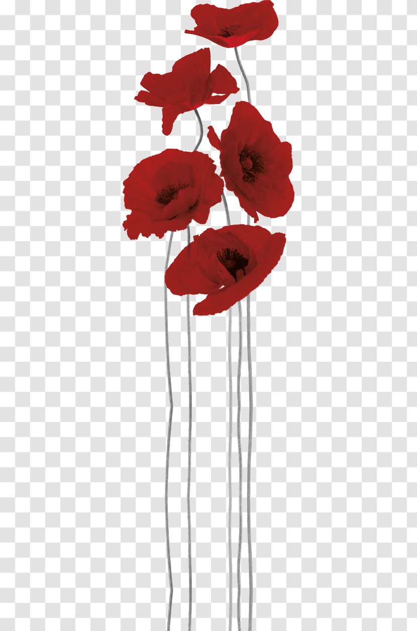 Paper Sticker Poppy Painting Mural - Black And White - Anzac Day Transparent PNG