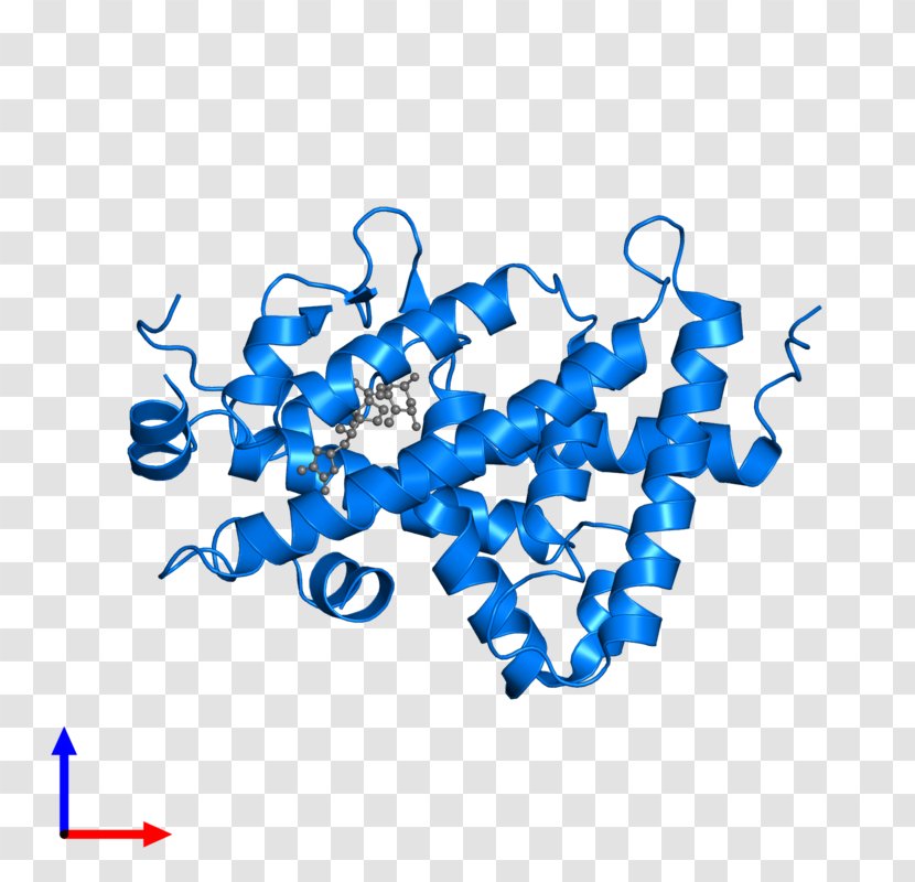 Calcitriol Receptor European Bioinformatics Institute Vitamin D Nuclear - Cartoon - Frame Transparent PNG