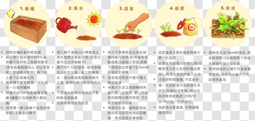 Recipe Cuisine Superfood Fruit - Text Transparent PNG