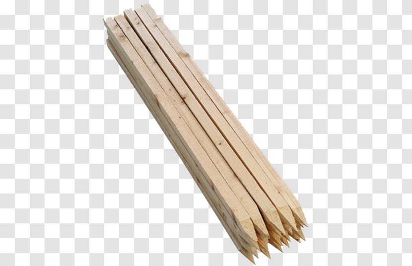 Survey Stakes Plywood Garden Lumber - Wood Transparent PNG