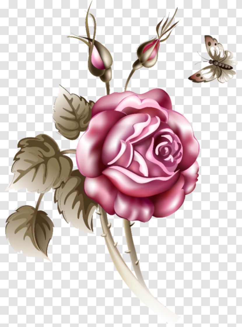Paper Label Painting Ornament - Flowering Plant - Retro Rose Transparent PNG