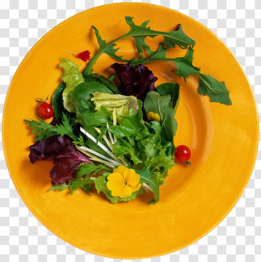 Torte Butterbrot Cooking Recipe Casserole - Vegetarian Food - Green Salad Transparent PNG