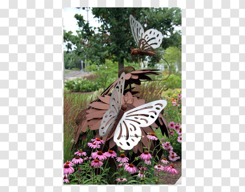 Brush-footed Butterflies Butterfly Yard Meter Tree - Flora Transparent PNG