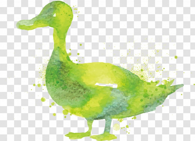 Duck Goose Watercolor Painting - Canvas Print - Green Vector Transparent PNG