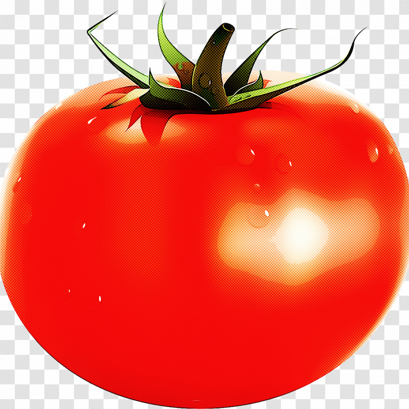 Tomato Transparent PNG