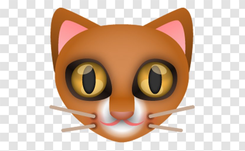 Cat Cuteness - Small To Medium Sized Cats Transparent PNG
