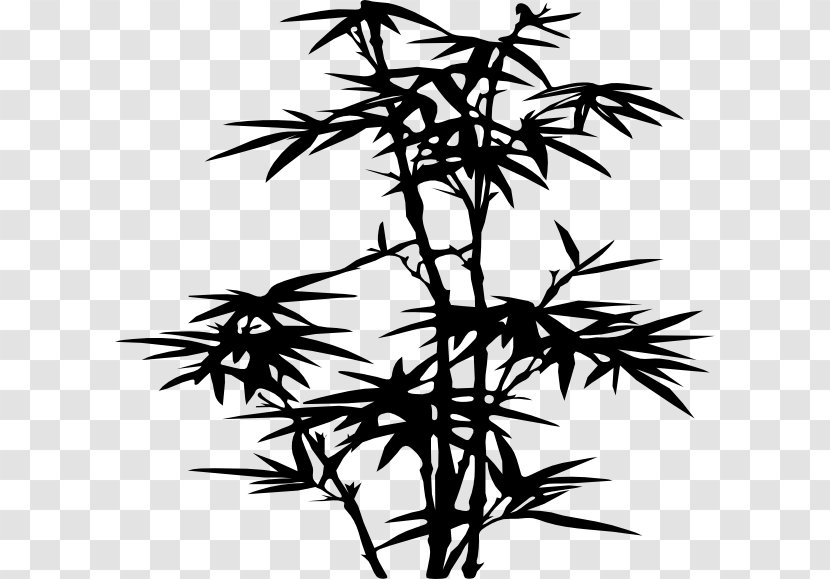 Japanese Language Twig Drawing - Plant Stem - Vascular Transparent PNG
