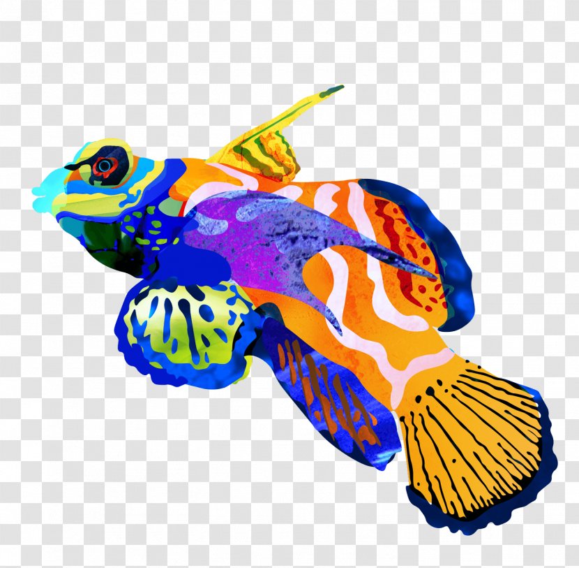 Illustration Design Fish Clip Art Animal - Time - Bi Banner Transparent PNG