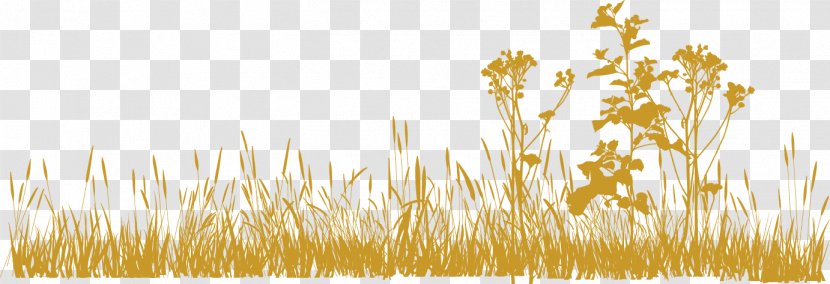 Frozen Background - Grass Family - Plant Wheat Transparent PNG