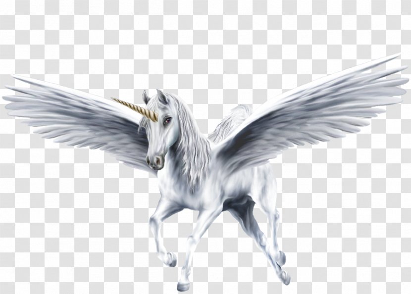 Pegasus Winged Unicorn Horse - Mythology Transparent PNG