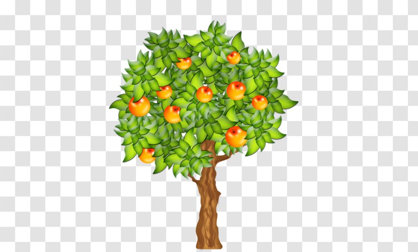 Clip Art Fruit Tree - Flowerpot Transparent PNG