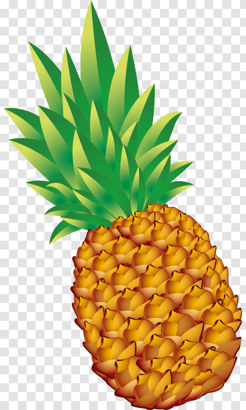 Pineapple Image Fruit Vegetarian Cuisine - Plant Transparent PNG