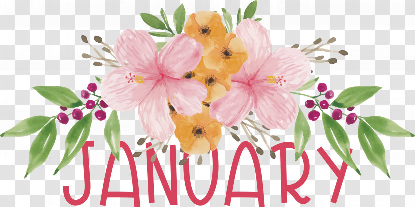 Floral Design Transparent PNG