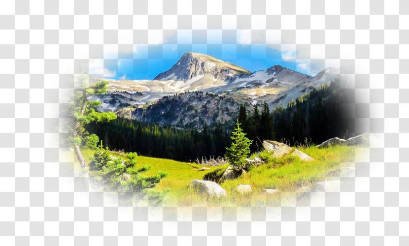 Desktop Wallpaper Image Photograph Landscape - Sky - Tree Transparent PNG