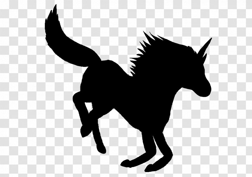Mule Mustang Stallion Donkey Halter - Snout - Organism Transparent PNG