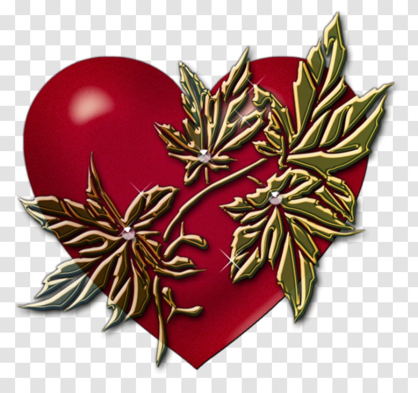 Red Christmas Tree - Ornament - Perennial Plant Poinsettia Transparent PNG
