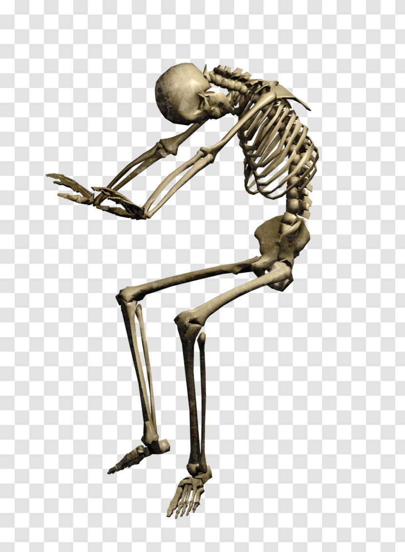 Human Illustration DeviantArt Skeleton Photograph - Arm - Omen Transparent PNG