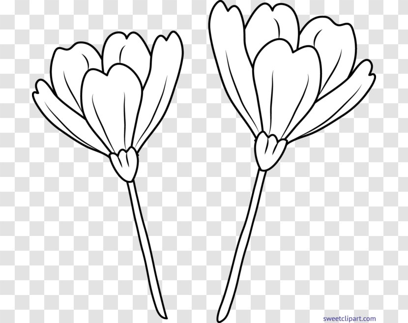 Drawing Flower Line Art Clip - Heart Transparent PNG