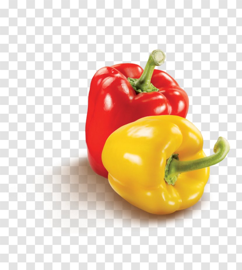 Habanero Yellow Pepper Cayenne Chili Friggitello - Bell Transparent PNG