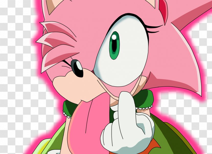 Amy Rose Sonic Chaos Cream The Rabbit Generations CD - Tree Transparent PNG