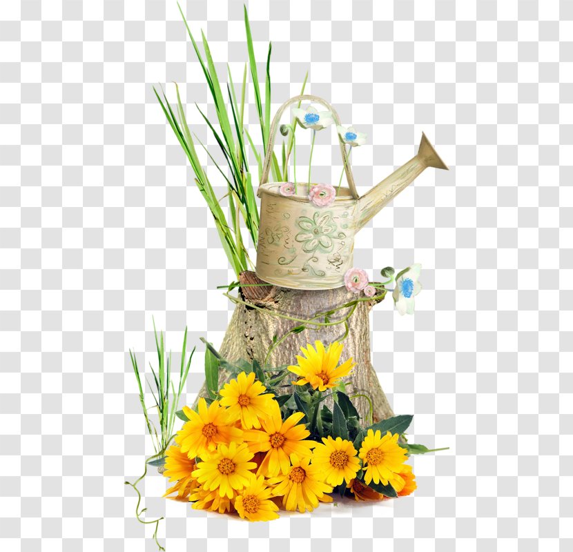 Fresh Vegetable - Flowering Plant - Watering Can Transparent PNG