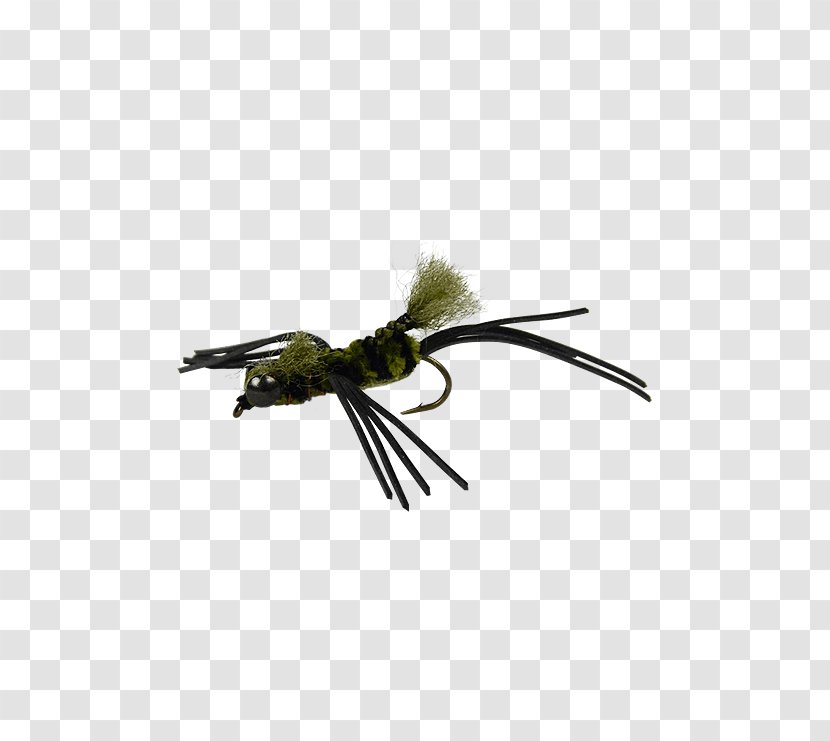 Crayfish Bass Fresh Water Fly Fishing Insect Transparent PNG