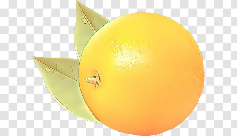 Orange - Plant - Party Supply Transparent PNG