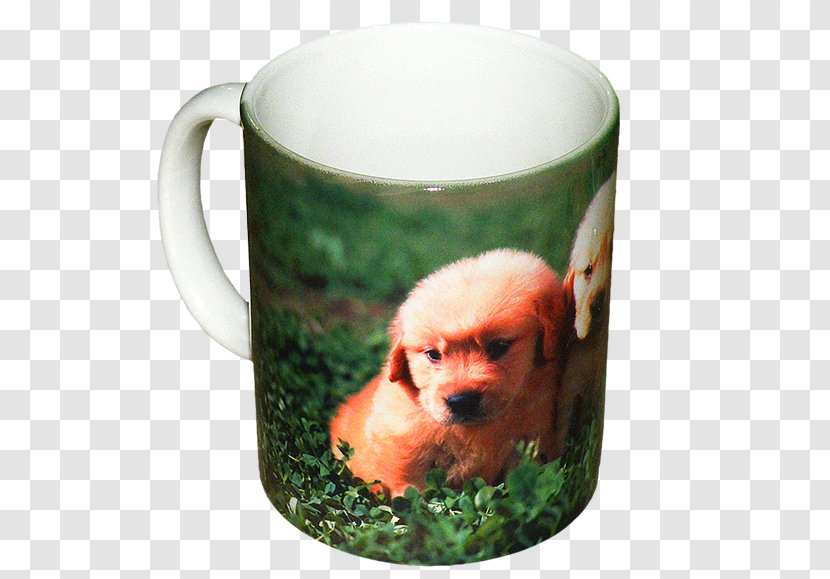 Coffee Cup Mug Snout Flowerpot Transparent PNG