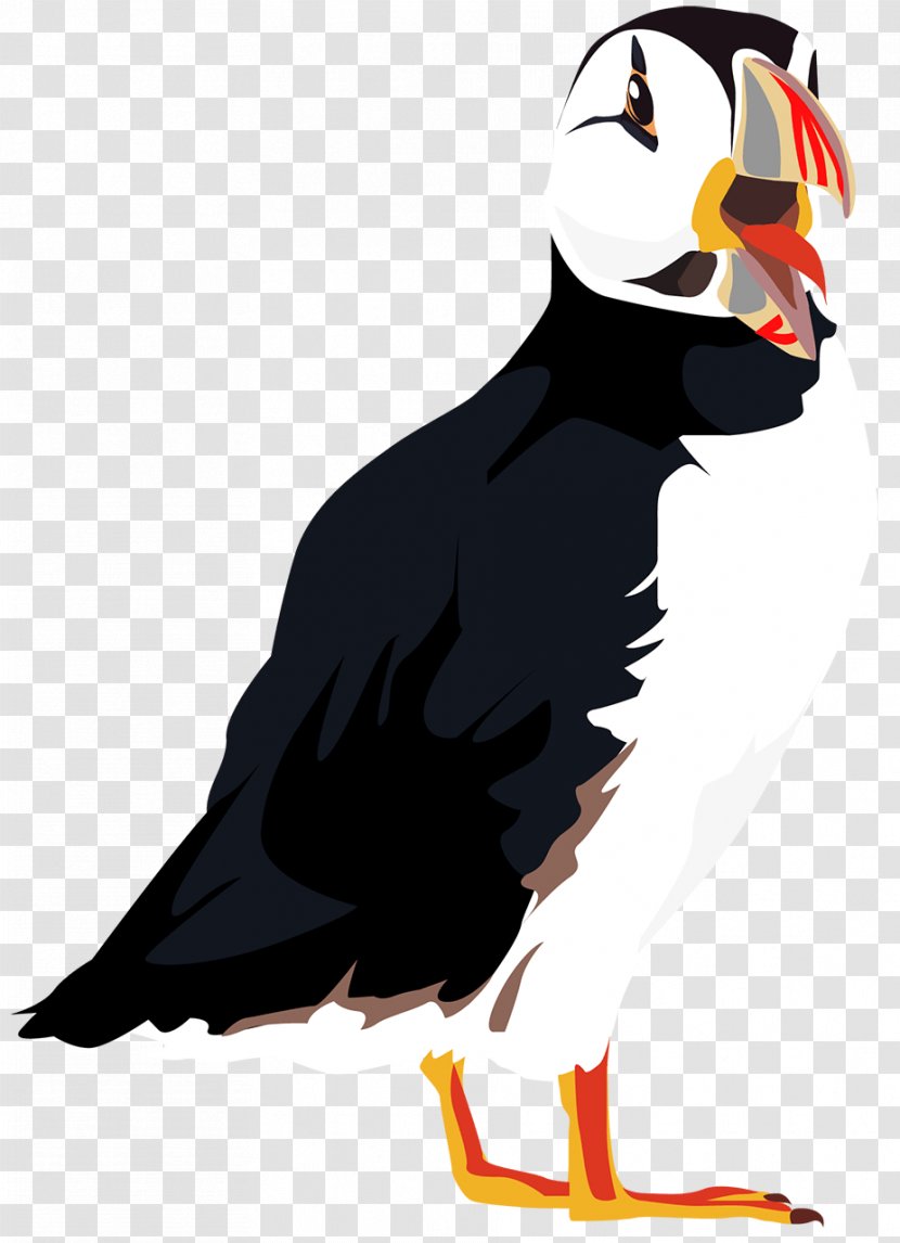 Puffin Bird Beak Clip Art Character Transparent PNG