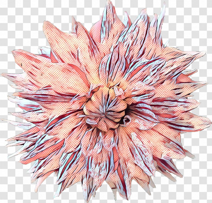 Pink Flower Leaf Plant Peach - Drawing Protea Transparent PNG