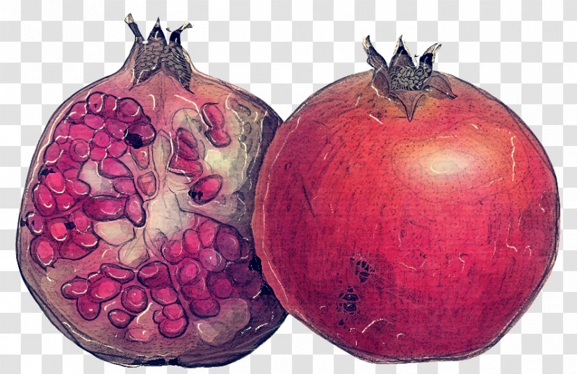 Onion Cartoon - Vegetable - Beetroot Accessory Fruit Transparent PNG
