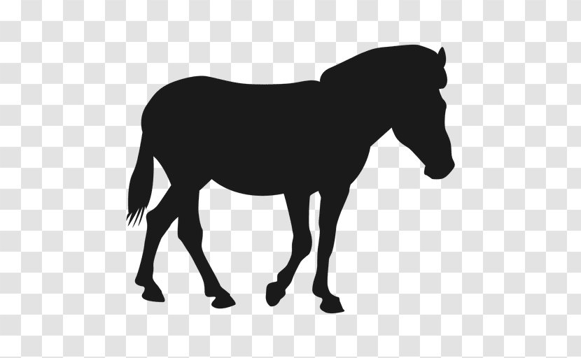 Mule Mustang Stallion Pony Colt - Rein Transparent PNG